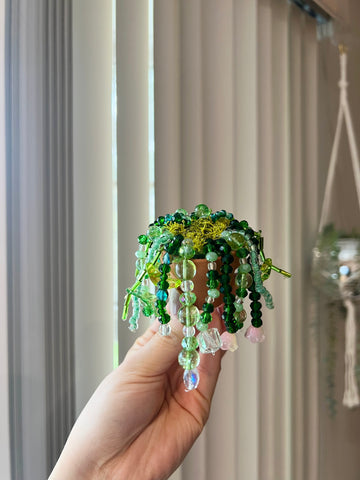 Baby Beaded Plant B