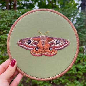 Emperor Moth Hoop